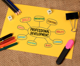 Diagram of factors of professional development